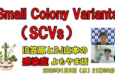 Small Colony Variants (SCV)とは？