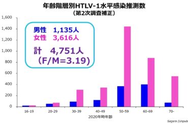 HTLV-1の水平感染の現状｜相良康子（日本赤十字社九州ブロック血液センター 品質部）