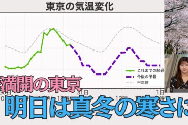 桜満開の東京 明日は真冬の寒さに