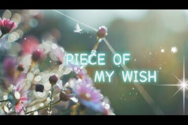 CMで話題の曲『PIECE OF MY WISH』 今井美樹
