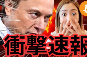 イーロンマスク氏DOGE辞任へ?! ビットコインとテスラに激震