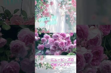 懐かしい曲がCMで流れたから coverしてみた