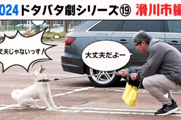 2024狂犬病予防注射会場のドタバタ劇⑲ 滑川市編