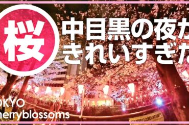 [2025年最新」中目黒・目黒川の夜桜ツアーとおすすめのお店43軒
