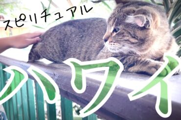 ハワイの神社とパワースポット【スピリチャル旅】どこでもプライベートツアー