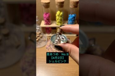 星あつめ記録　No.9【4月2日】シェルピンク