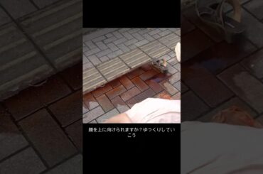 コード・ブルー-ドクターヘリ緊急救命- 山下智久、新垣结衣、户田惠梨香、比嘉爱未  #movie #shorts #action #drama #新垣结衣 #山下智久