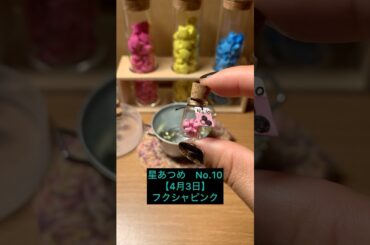 星あつめ記録　No.10【4月3日】フクシャピンク