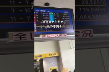【競馬】帯伝説の始まり. #競馬 #競馬ライブ #競馬予想