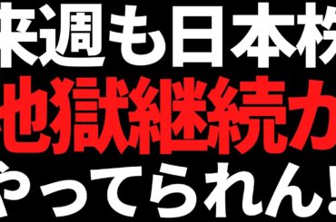 来週の日本株またブラマン！？トランプさんマジでどうすんのいい加減反発して！