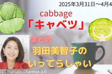 最新「キャベツ」【羽田美智子】いってらっしゃい