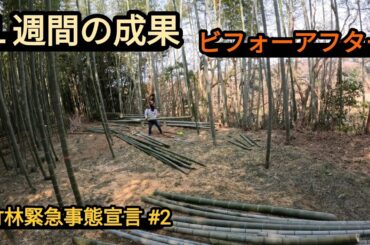 【竹林緊急事態宣言#2】１週間の成果ビフォーアフター