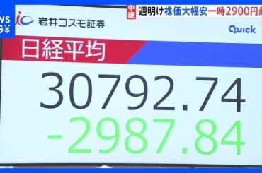 「リーマン・ショック級」“世界同時株安”日経平均株価が一時2900円超の大幅下落「報復関税エスカレートで3万円台を割り込む可能性も」｜TBS NEWS DIG