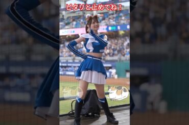 佐々木希に似てる？きつねちゃん！ナイショにしておいてくださいね#きつねダンス,#ピタ止め,#ファイターズ,#shorts,#dance,#かわいい,#美女,