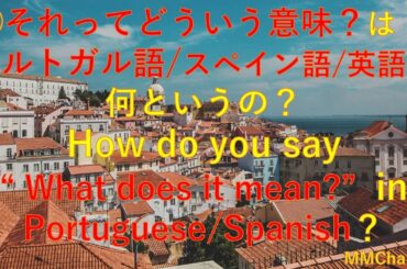 ㊷ 240601「それってどういう意味？」はポルトガル語/スペイン語/英語で何というの？How to say "What does it mean?" in Portuguese/Spanish?