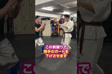 【三好りょう】空手の基本はコレ！　 #れいわ新選組 #三好りょう