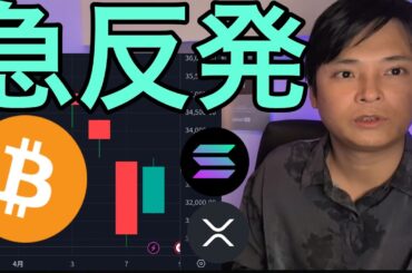 【株価＆ビットコイン急反発】なぜ？BTC以外の仮想通貨は悲惨