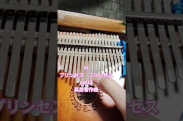 Мプリンセス プリンセス Aメロ 奥居香作曲 #カリンバ練習中 #癒し　#shorts