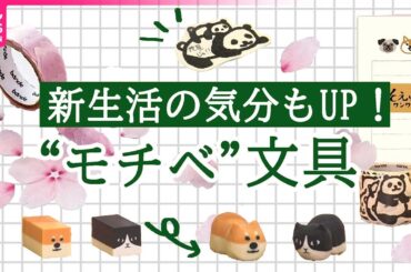 【文具】消しゴムを育てる？！新しいモチベーション文具／最強！省スペースで使える高スぺパ文具