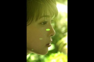 テレビドラマ『ランチの女王』の挿入歌『森花処女林』-竹内結子さんの画像と共に