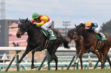 【フェアリーS】エリカエクスプレス快速レコードV　桜花賞へ視界良好　杉山晴師「ポテンシャルの高さでやれた」｜競馬ニュース｜競馬予想のウマニティ