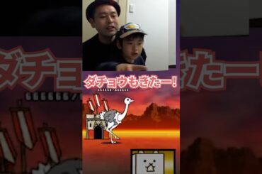 地獄門（修羅の道）に挑戦‼【にゃんこ大戦争】#攻略 #般若我王