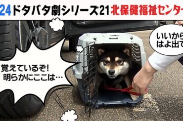 2024狂犬病予防注射会場のドタバタ劇㉑ 北保健福祉センター編