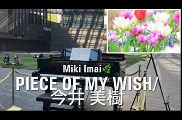 【StreetPiano】 愛する人や友達が…CMsong PIECE OF MY WISH/今井美樹🍀↓English Lyrics #mikiimai ニュービーズCM 吉高由里子🌿応援song