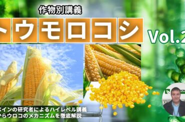 【科学的/徹底解説】その2 トウモロコシへのバイオスティミュラント施用②　農業技術の専門家が科学的に解説します