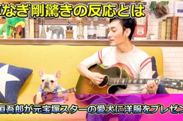 【速報】 稲垣吾郎が元宝塚スターの愛犬に洋服をプレゼント！草なぎ剛と香取慎吾の驚きの反応とは#稲垣吾郎, #草なぎ剛, #香取慎吾, #ななにー, #地下ABEMA, #ペット自慢, #犬好き,