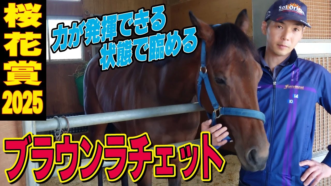 【桜花賞2025】ブラウンラチェット・名畑俊助手インタビュー「力が発揮できる状態で臨める」「状態面は問題ない」《JRA共同会見》 【桜花賞2025】ブラウンラチェット・名畑俊助手インタビュー「力が発揮できる状態で臨める」「状態面は問題ない」《JRA共同会見》