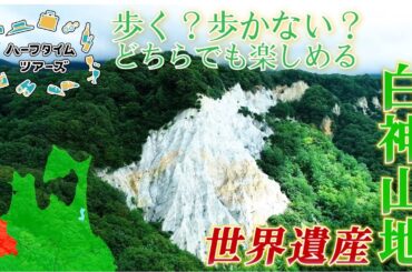 歩く？歩かない？ どちらでも楽しめる白神山地を満喫するツアー