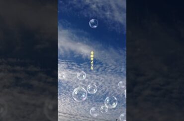 #ショート #西内まりや