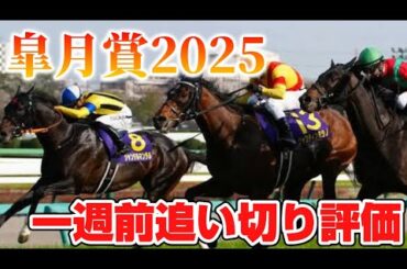 皐月賞2025 一週前追い切り評価