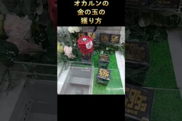 #確率機 #ゲーセン #クレーンゲーム #攻略 #ダンダダン #オカルン #金の玉 #輝く金の玉 #初期位置 タコライス  @taco storageのクレーンゲーム ゲーセンの動画  TikTok