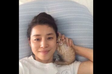 石田ゆり子と可愛い猫たちの癒しの日常