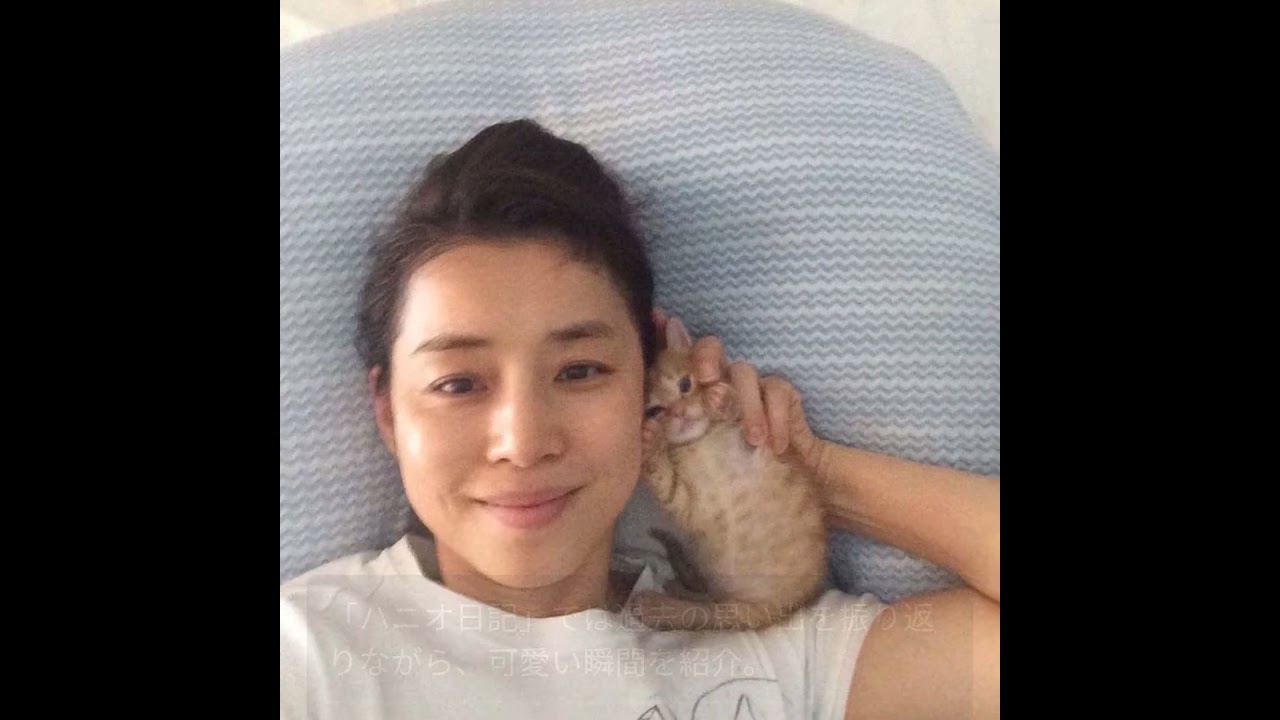 石田ゆり子と可愛い猫たちの癒しの日常 石田ゆり子と可愛い猫たちの癒しの日常