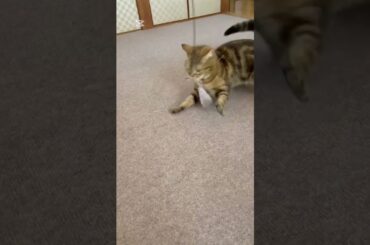 イグナイト　Eir Aoi