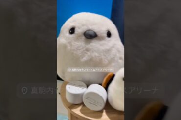 2025年04月12日 Perfume インスタグラム投稿・他～'Perfume 10th Tour ZOZ5"ネビュラロマンス" Episode 1'本日北海道公演1日目🐟