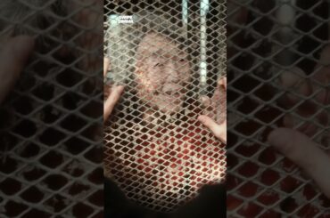 この後、助けた祖母がまさかの... | SWIPEDRAMA | #スワドラ #shorts #ぬらりひょんの棲む家