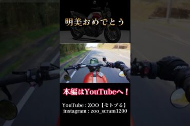 当チャンネルは明美を応援します。#triumph #ダレノガレ #cb1300