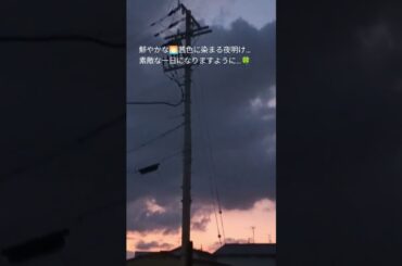 #HERO#麻倉未稀#朝焼け#ドラマ主題歌#勇気#ショート#無言ねこ