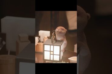 幸せカナコの殺し屋生活~社長のパワハラが限界でブラック企業辞めたんだけど、思わぬ高待遇に釣られて殺し屋会社に入っちゃった#movie#shorts#映画#のうねん れな # 藤ヶ谷太輔