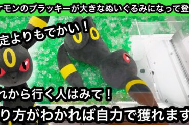 大きなブラッキーのぬいぐるみが登場！獲り方がわかれば自力ゲットできます！【クレーンゲーム】【인형뽑기】【日本夾娃娃】【JapaneseClawMachine】
