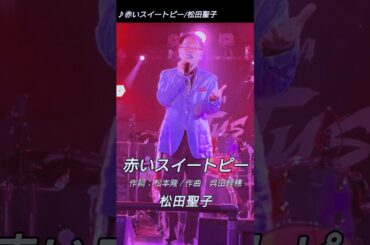 cover「赤いスイートピー/松田聖子」by ナカジ #shorts ＠四谷LOTUS