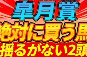 【皐月賞2025】"クラシック活躍馬多数の要素を満たす馬がいる"『絶対に買うのはこの馬』【Part1】