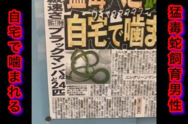 猛毒ヘビ飼育男性自宅で咬まれる
