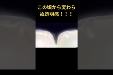 今も変わらぬ透明感 #石田ひかり #石田ゆり子