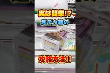 実は簡単！？超デカ箱景品の攻略方法！プライズフィギュア設定攻略  #cranemachine  #クレーンゲーム #ゲーセン #clawmachine #UFOキャッチャー