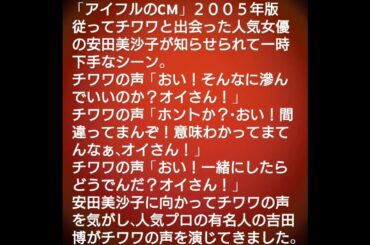 「アイフルのCM」２００５年版 CMキャラクター 人気女優の安田美沙子を演じ、チワワの声の吉田博を演じました。